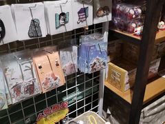 -猫咪博物馆(顶澳仔猫街店)