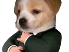 -味之绝热血美蛙鱼火锅(中坝店)