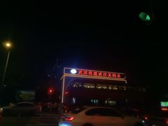 -武汉关码头(轮渡站)