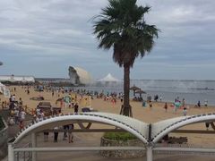 -碧海金沙