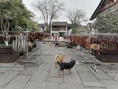 -小河直街历史文化街区