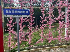 -北京凤凰岭