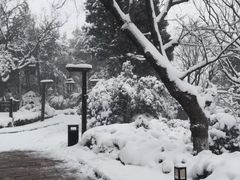 -天目湖涵田半山温泉