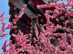 -大慈恩寺(大雁塔)