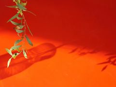 -UNIUNI(凯瑟琳广场店)