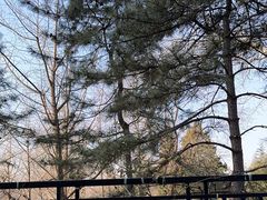 -月坛公园
