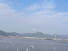-海埂大坝