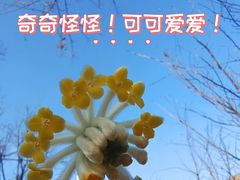 -西安市长乐公园