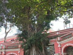 -澳门保安部队博物馆