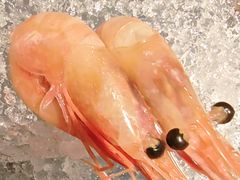 -大渔铁板烧(仁恒梦中心店)