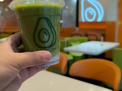 -油梨树 AVOCADO TREE(亮马桥店)