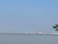 -上海吴淞炮台湾国家湿地公园