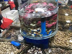 -张树军海鲜(王府壹号店)