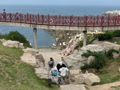 -养马岛旅游度假区