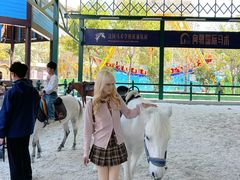 -灵玲国际马戏城