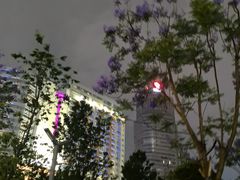 -昆明中心皇冠假日酒店