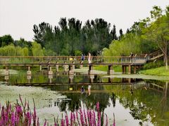 -东郊湿地公园