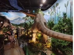 -陕西自然博物馆