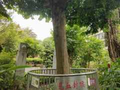 -广州神农草堂中医药博物馆