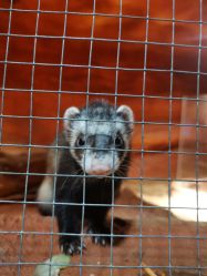 -酷嗒动物文化乐园(cutezoo西溪乐天城店)