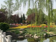 -石家庄市植物园