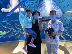 -烟台海昌鲸鲨海洋公园