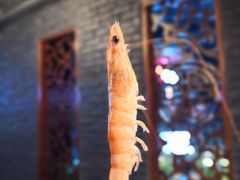 -搓火大都会(广安门总店)