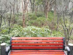 -新江湾城公园
