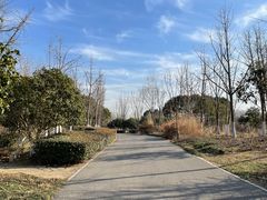 -梁鸿国家湿地公园