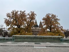 -北京石刻艺术博物馆(五塔寺)
