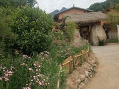 -牛背梁国家森林公园