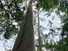 -广州市白云山风景名胜区