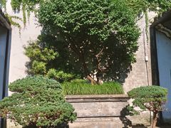 -绍兴鲁迅故里·沈园景区