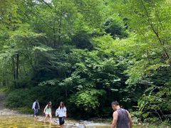 -秦岭风景区