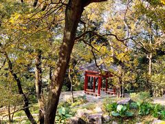-广州市石门国家森林公园