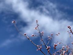 -颐和园