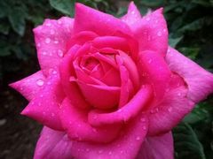 -人民公园(罗湖区)