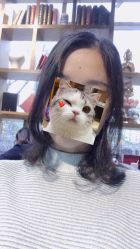 -木马造型