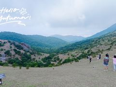 -大姆山草场