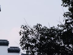 -安亭老街