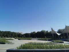 -长春公园(普阳街道)