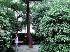 -兰溪青年公园