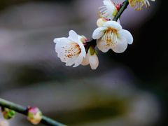 -南北湖风景区