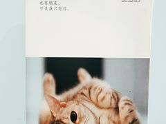 -狗舍宠物医院(四季商业广场店)