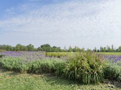 -汉长安城未央宫国家考古遗址公园