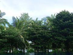 -三亚湾海居铂尔曼度假酒店