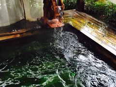 -杭州第一世界大酒店·云曼温泉