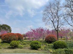 -浦江城市生活广场(江月路店)