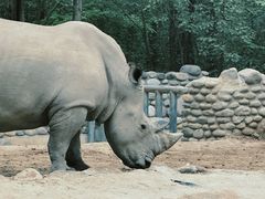 -北京野生动物园