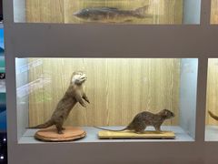 -下渚湖国家湿地公园科普馆